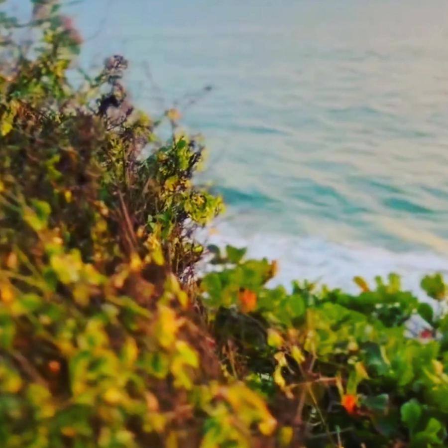 Theertha Homestay Varkala Dış mekan fotoğraf